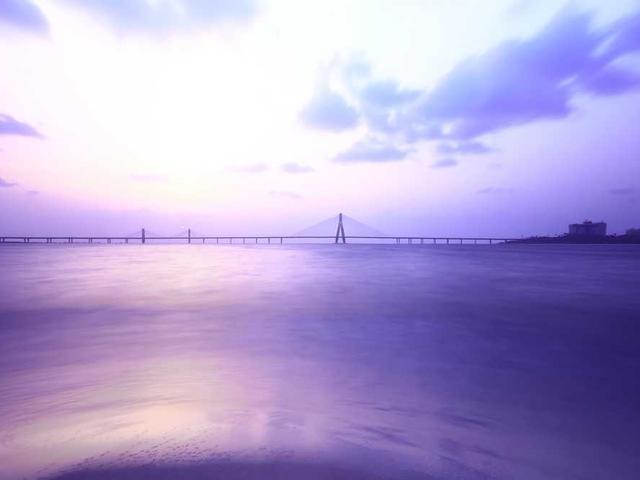 Prof. Christa Schiller