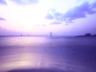 Prof. Christa Schiller