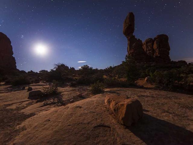 Prof. Consuelo Hahn DDS