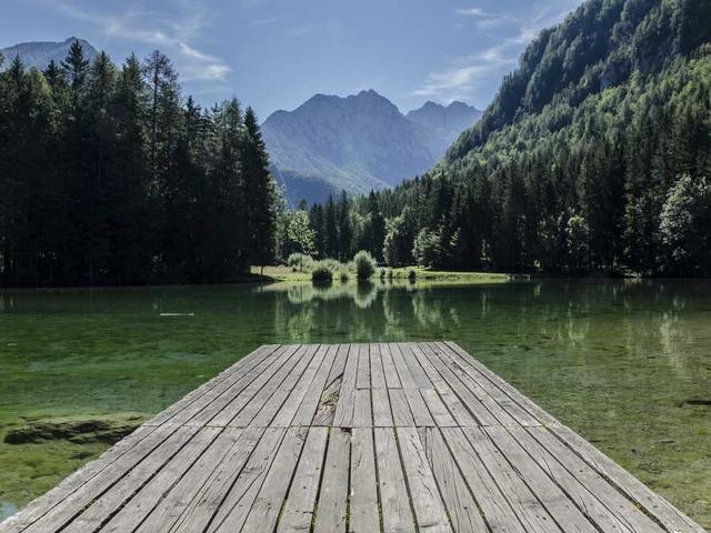 Miss Valentine Davis II