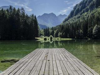 Miss Valentine Davis II